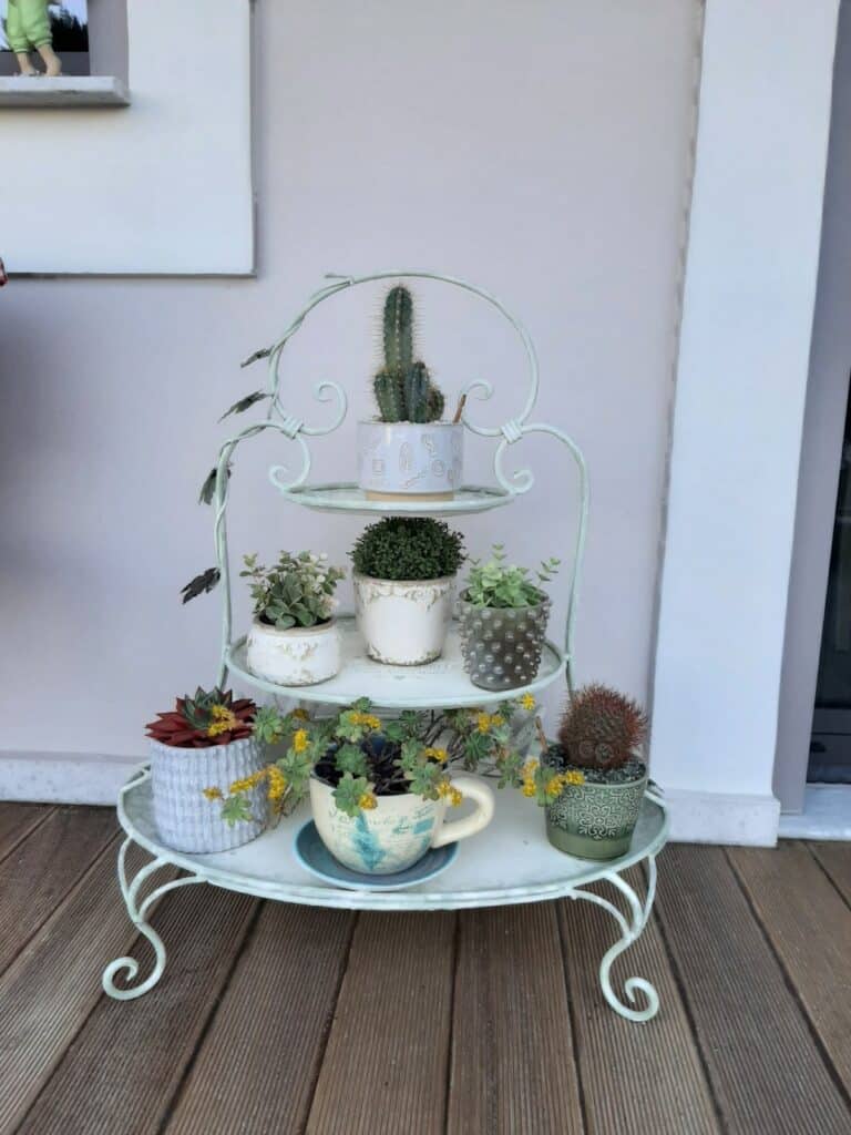 Διακόσμηση με παχύφυτα