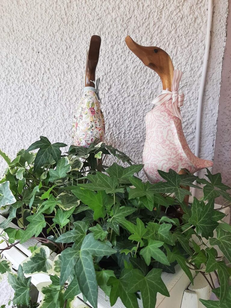 Διακόσμηση γωνιάς κήπου με φυτά και διακριτικά αξεσουάρ