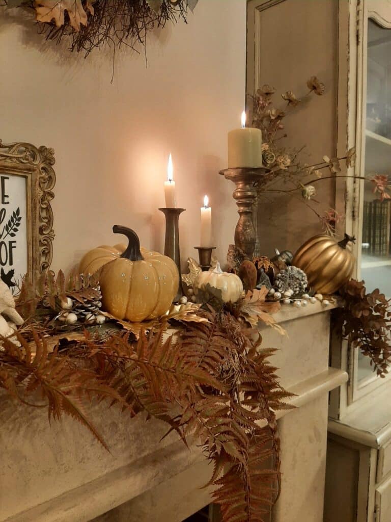 310514712_511018117702588_2065742113273429376_n