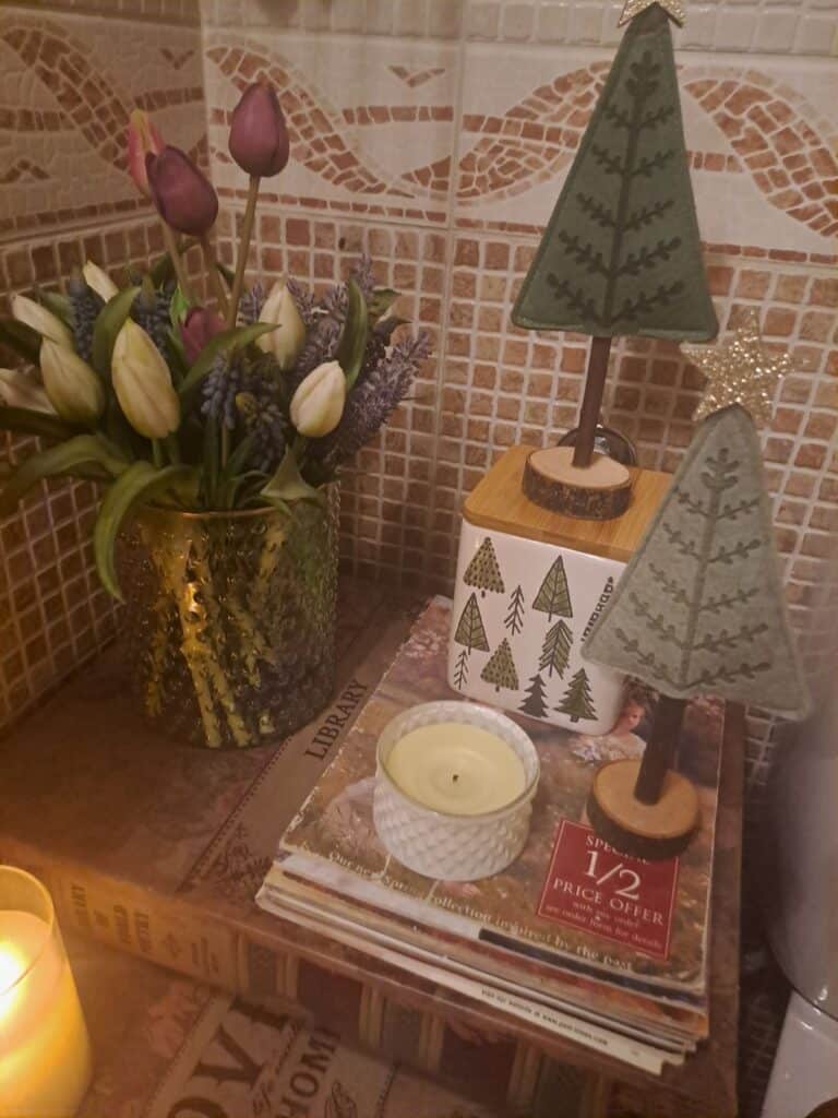 WC Χριστουγεννιάτικος στολισμός 2024